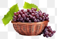 PNG Grapes basket fruit plant. 