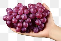 PNG Grapes fruit plant food. 