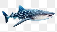 PNG Shark animal mammal whale. 