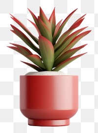 PNG Potted plant aloe vase  