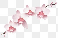 PNG Blossom flower orchid plant. AI generated Image by rawpixel.