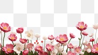 PNG Blossom flower backgrounds outdoors. AI generated Image by rawpixel.