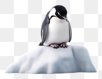 PNG Penguin outdoors iceberg animal. AI generated Image by rawpixel.