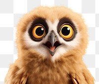 PNG Owl animal beak bird. 