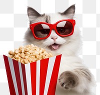 PNG Popcorn sunglasses mammal animal. AI generated Image by rawpixel.