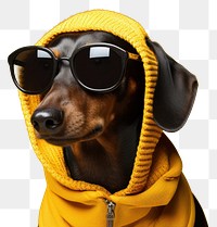 PNG Sunglasses dachshund portrait sweater. 