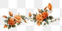 PNG Flower plant rose art. AI generated Image by rawpixel.