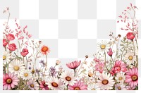 PNG Pattern flower plant daisy