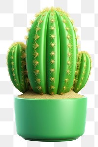 PNG Cactus plant  houseplant. 