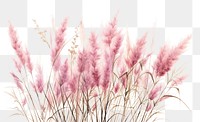 PNG Grass plant tranquility vegetation