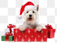 PNG Gift dog christmas mammal. 