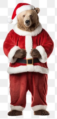 PNG Costume bear christmas standing. 