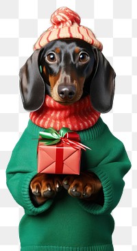 PNG Dachshund portrait sweater mammal