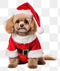 PNG Dog christmas costume mammal. AI generated Image by rawpixel.