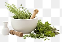 PNG Plant herbs ingredient vegetable