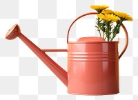 PNG Flower inflorescence terracotta flowerpot. AI generated Image by rawpixel.
