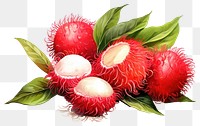 PNG Rambutan fruit plant food. AI generated Image by rawpixel.