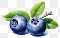 PNG Blueberry fruit plant food. 