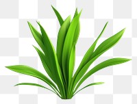 PNG Plant green blossom grass. 