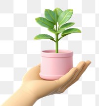 PNG Plant holding leaf hand. 