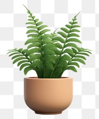 PNG Fern plant leaf houseplant. 