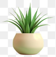 PNG Plant aloe vase houseplant. 