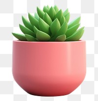 PNG Plant vase succulent plant houseplant. 