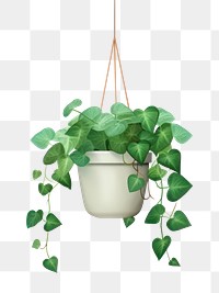 PNG Plant hanging leaf ivy. 