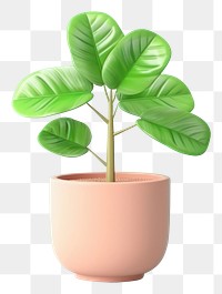 PNG Plant blossom leaf houseplant. 