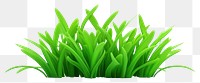 PNG Grass green plant lawn. 