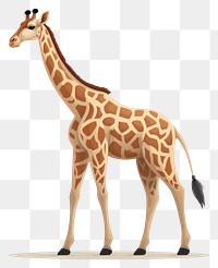 PNG Wildlife giraffe animal mammal. AI generated Image by rawpixel.