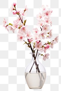 PNG Blossom vase decoration flower transparent background