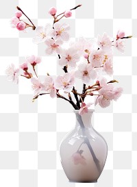 PNG Blossom vase decoration flower transparent background