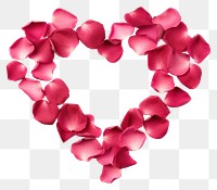 PNG Petal rose flower shape. AI generated Image by rawpixel.
