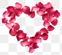 PNG Petal rose flower shape. 