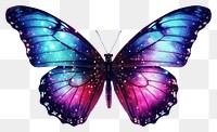 PNG Butterfly animal insect transparent background. 