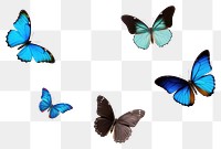 PNG Butterfly animal insect flying. AI generated Image by rawpixel.