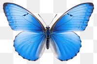PNG Butterfly animal insect invertebrate. AI generated Image by rawpixel.