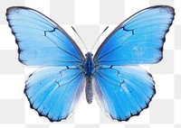 PNG Butterfly animal insect invertebrate. AI generated Image by rawpixel.