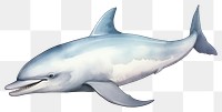 PNG Dolphin animal mammal shark. AI generated Image by rawpixel.