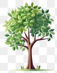 PNG Plant tree leaf outdoors. AI generated Image by rawpixel.