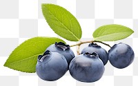 PNG Blueberry fruit plant food. 