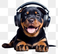 PNG Headphones puppy rottweiler headset. AI generated Image by rawpixel.