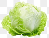 PNG Lettuce vegetable plant food. 