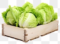 PNG Lettuce vegetable crate plant. 