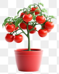 PNG Tomato vegetable fruit plant. AI generated Image by rawpixel.