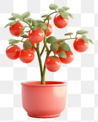 PNG Tomato vegetable fruit plant. AI generated Image by rawpixel.