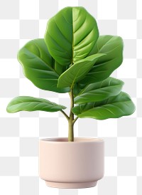 PNG Leaf plant tree vase. AI generated Image by rawpixel.