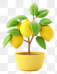 PNG Lemon plant fruit leaf. 