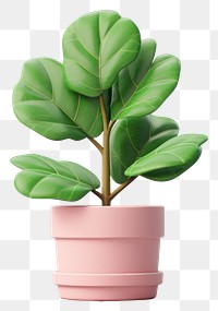 PNG Leaf plant houseplant freshness.